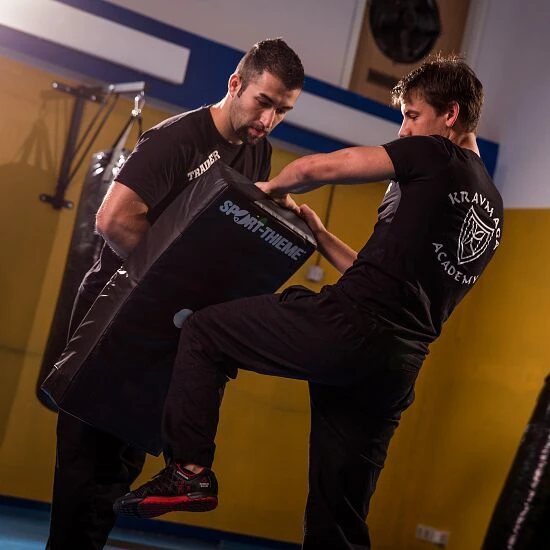 Sport-Thieme Schlagpolster "Curve" 10 Sport-Thieme Schlagpolster "Curve" – Bild 8