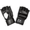 Hammer Boxhandschuhe "Premium" -Fitnessserien Laden 149 9979