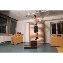 Sport-Thieme Plyobox "Kombi" 21 Sport-Thieme Plyobox "Kombi" -Fitnessserien Laden 161 0518 7